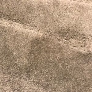 Meet your Posher, Bryan